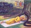 A Surprise For Everyone  When Guru Nanak was seven years old, he was sent to a school