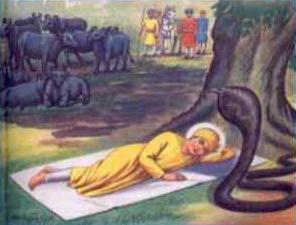 A Surprise For Everyone  When Guru Nanak was seven years old, he was sent to a school