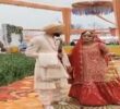  -ਦੁਲਹਨ ਲੈ ਕੇ ਆਈ ਪਤੀ ਦੇ ਘਰ ਆਪਣੀ ਬਾਰਾਤ , ਫਿਰੋਜ਼ਪੁਰ ਦੇ ਖੇਤਾਂ ਵਿੱਚ ਹੋਇਆ ਵਿਆਹ