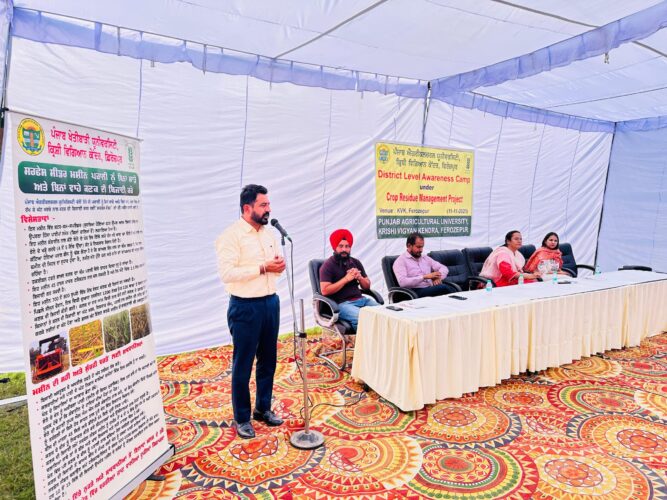ਪੀ.ਏ.ਯੂ-ਕ੍ਰਿਸ਼ੀ ਵਿਗਿਆਨ ਕੇਂਦਰ, ਫਿਰੋਜ਼ਪੁਰ ਵੱਲੋਂ ਪਰਾਲੀ ਪ੍ਰਬੰਧਨ ਸਬੰਧੀ ਜ਼ਿਲ੍ਹਾ ਪੱਧਰੀ ਜਾਗਰੁਕਤਾ ਕੈਂਪ ਆਯੋਜਿਤ ਕੀਤਾ ਗਿਆ