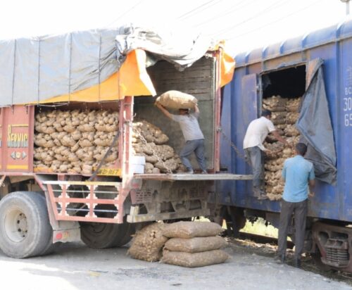 फिरोजपुर मंडल ने आलू लोडिंग में की उल्लेखनीय वृद्धि, 29.54 करोड़ का राजस्व अर्जित।