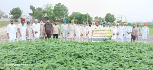 ਪੀ.ਏ.ਯੂ.-ਕ੍ਰਿਸ਼ੀ ਵਿਗਿਆਨ ਕੇਂਦਰ ਫ਼ਿਰੋਜ਼ਪੁਰ ਵੱਲੋਂ ਹਰੀ ਖਾਦ ਵਾਲੀਆਂ ਫ਼ਸਲਾਂ ਤੇ ਖੇਤ ਦਿਵਸ ਲਗਾਇਆ ਗਿਆ