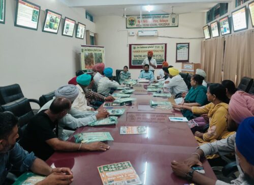 ਪੀ.ਏ.ਯੂ. ਕੇ.ਵੀ.ਕੇ. ਫਿਰੋਜ਼ਪੁਰ ਵੱਲੋਂ ਮਿਰਚ ਦੇ ਮੰਡੀਕਰਨ ਅਤੇ ਪ੍ਰੋਸੈਸਿੰਗ ਸਬੰਧੀ ਕਿਸਾਨ-ਵਿਗਿਆਨੀ ਮਿਲਣੀ ਦਾ ਆਯੋਜਨ