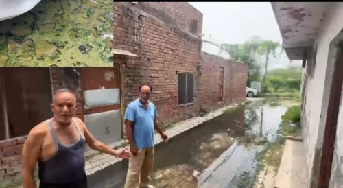 ਫਿਰੋਜ਼ਪੁਰ ਦੇ ਸ਼ਾਂਤੀ ਨਗਰ ਵਿੱਚ ਸੀਵਰੇਜ ਜਾਮ, ਗੰਦੇ ਪਾਣੀ ਕਾਰਨ ਲੋਕ ਪ੍ਰੇਸ਼ਾਨ