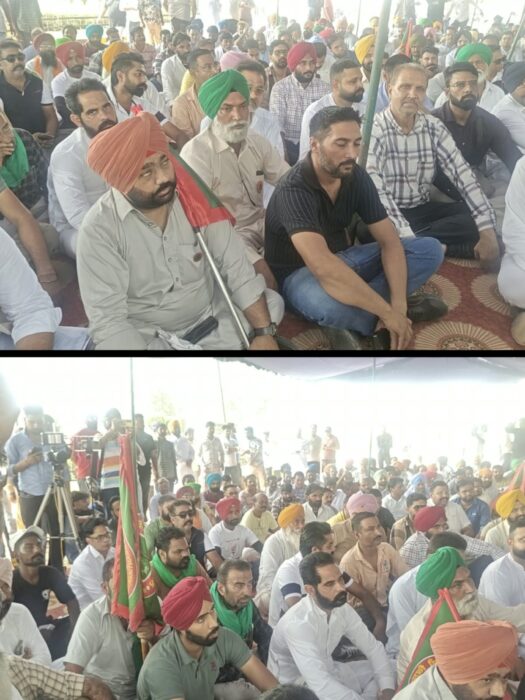 ਫਿਰੋਜ਼ਪੁਰ ‘ਚ ਅਨੋਖਾ ਰੋਸ ਪ੍ਰਦਰਸ਼ਨ: ਫੂਡ ਇੰਸਪੈਕਟਰ ਦੀ ਵਾਪਸੀ ਲਈ ਨੈਸ਼ਨਲ ਹਾਈਵੇ ਜਾਮ